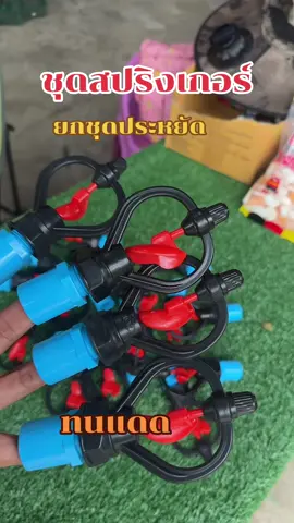 สปริงเกอร์รดน้ำ#สปริงเกอร์ #ชุดสปริงเกอร์#สปริงเกอร์ใบหูช้าง#สปริงเกอร์รดน้ําต้นไม้ #สปริงเกอร์ไทยแลนด์ 