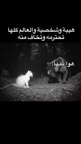 #الحب❤️ #تابعوني_رح_نزل_شي_جديد 