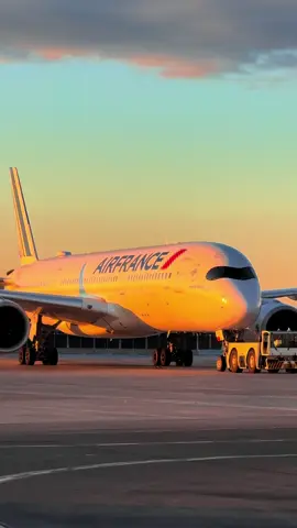 The Beauty of the A350 😍 #aviation #plane #foryoupage 