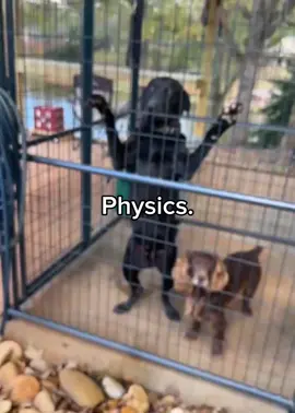 Physics #рекомендации❤️❤️❤️  #рекомендаци 