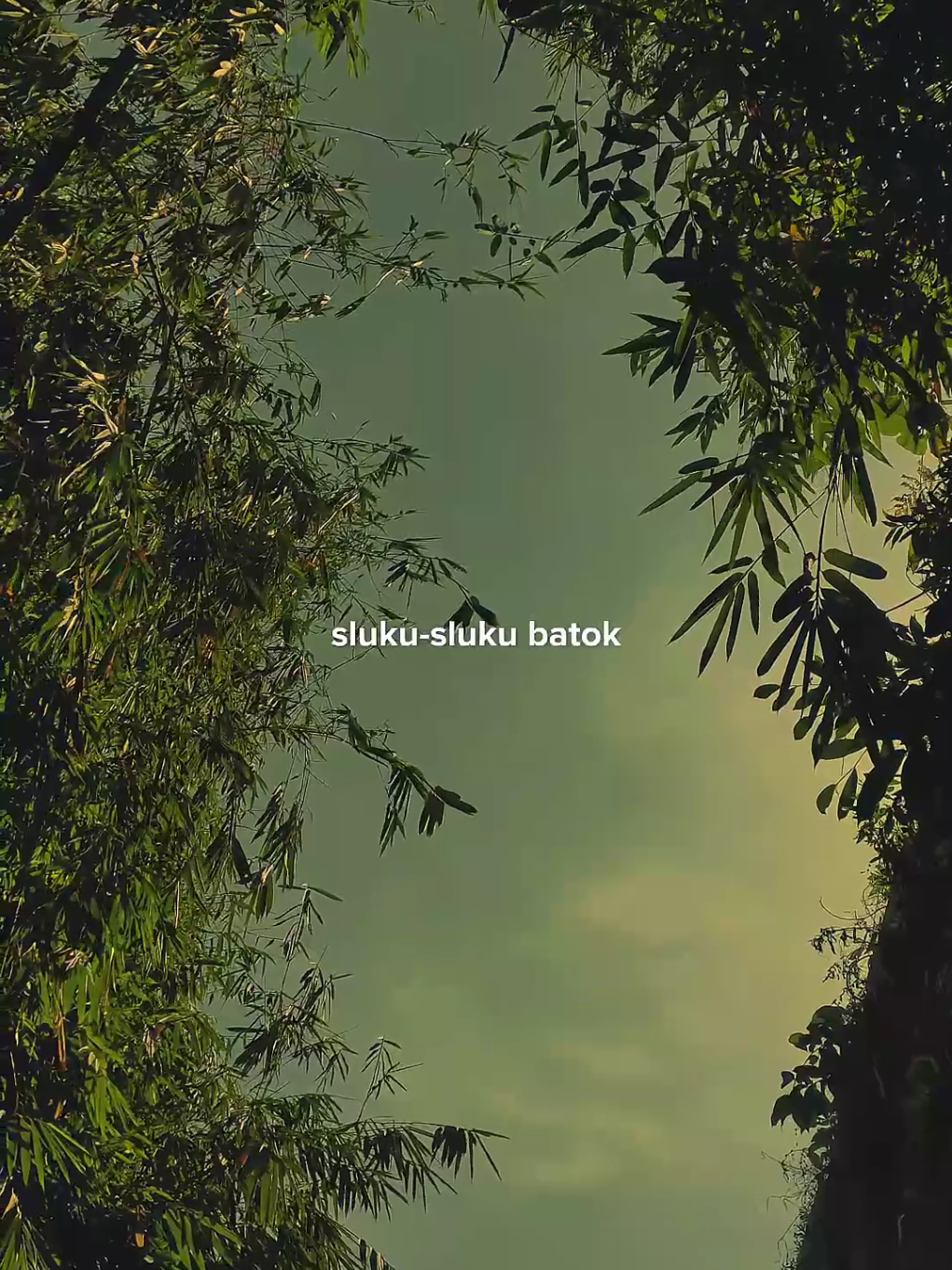 Sluku-sluku batok ❤️‍🩹🎧 #slukuslukubathok #syiiranjawa #sholawat #sholawattrending #soundsholawat 