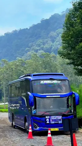 JANGULEE BILQIS🔥🔥Nada apah ini Yang tau Komen. @Uda Helmi Bilqis @Janguleee  #janguleeetransport #fyp #bilqis #bismania #bismaniacommunity 