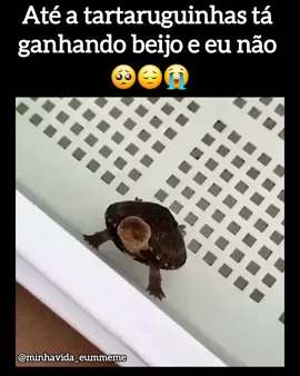 #minhavidaéummeme #eunavida #vídeosengraçados #marcaasamigas #vamosrir 