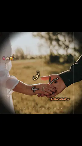 Tu Mera Hai Sanam🫠💕.. . . . #foryou #foryoupage #trending #lyrics #jayzeexaesthix 