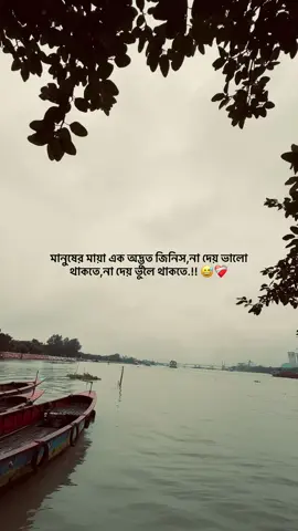 র মায়া এক অদ্ভুত জিনিস ,না দেয় ভালো থাকতে ,না দেয় ভুলে থাকতে.!! 😅❤️‍🩹#unfrezzmyaccount #caption #vairalvideo #foryou #bdtiktokofficial🇧🇩 