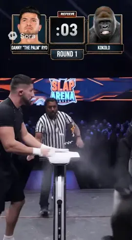 Gorilla slapfight