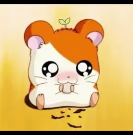 Hamtarooooo my little cutie!! #nostalgia #anime #hamtaro🐹 #hamster #fyp 