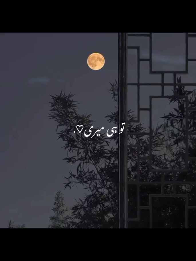 تو ہی میری۔ 🖤🥺🥀 || REPOST || MY || VIDEO || PLEASE || #unfrezzmyaccount #vairal #foryou #mim25 #trending 