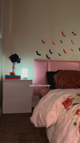 Sorry I have plans …. #BookTok #acourtofthornsandroses #weekendplans #singlelife 