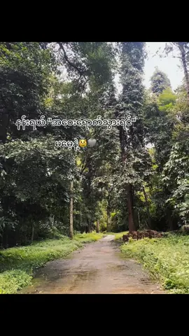 #မမေ့နဲ့နော်🫶🏻🤍#fvpシ💕foryou #fyppppppppppppppppppppppp #h #fypage @H 