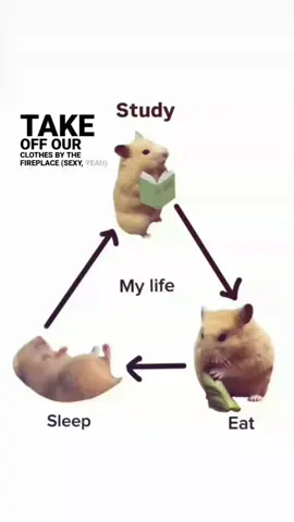 🌸🌸🦦,,#foryou #actives? #fayyyyyyyyyyyyyyyyyyyyyyyyyyyyyyyy #foryoupage #viralvideo 