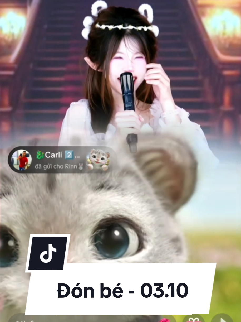 Chắc mỗi ngày cổ đi 1 chiếc chứ Carli gửi cho cổ tận 14c xe 😃 Gòi a Tít thấy cổ nhiều oto quá còn gửi cho cổ moto 🤣 #rin🐰 #rintworld015 #tworld015 #tworld015maidinh #rabbit_🐰💓 