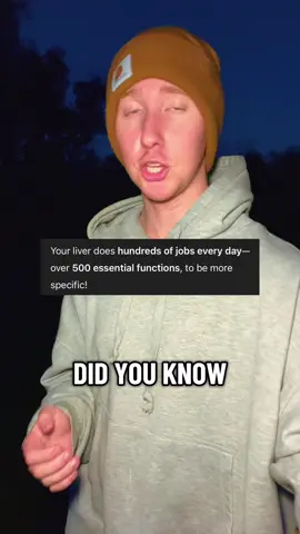 PrimeMD #primemd #liver