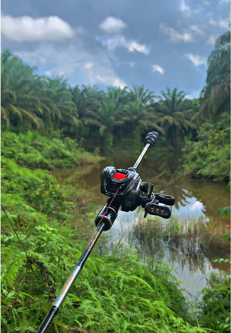 - Rod : Iroly Orochi Gen 3 - Reel : Iroly Libero Carbon Gen 2  - PE : Fit Or Fight Seahunter No 2 +Karet Bakar @Iroly Fishing   #irolyfishingteam #priairoly #foryoupage #fyp 