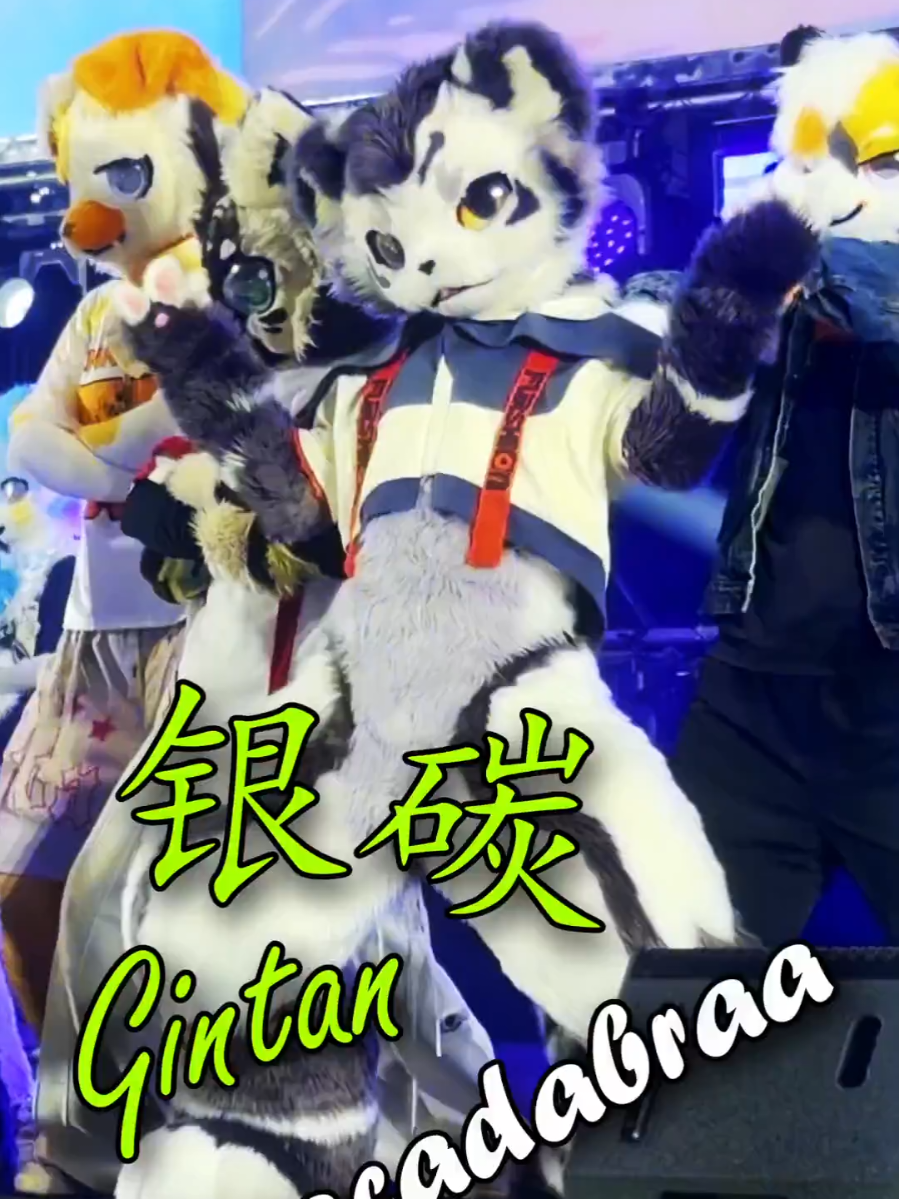 @银碳Gintan - ABRACADABRA  I'm not in this video. Uploaded with permission from the author.  #fursuit #furry #kemono #fursuitdance #abracadabra 