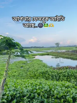 🌚🐸🫶#foryoupage #fyp @TikTok Bangladesh 