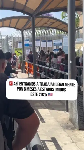 Así entramos con visa de trabajo h2  por medio de labormex la cual publica los requisitos para obtener una visa de trabajo por 6 meses 2025 #estadosunidos🇺🇸 #visa ##trabajos #migraña #agriculture 