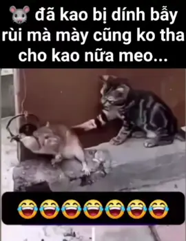 Hôm nay kao cho mày biết,thế nào là lễ độ...