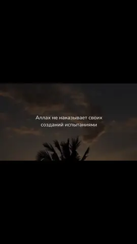 Аллаh хочет услышать твои мольбы! 🥹