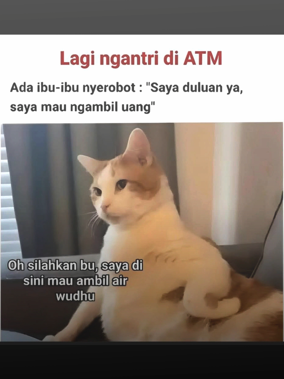 😹😹😹 #jjmeme #memefb #memekucin #fyp #lewatberanda 