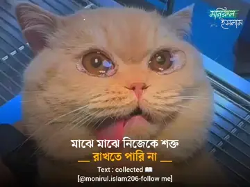 সইতে হবে জীবনের বাস্তবতা এখনো অনেক বাকি 😭💔 #monirul_islam206 