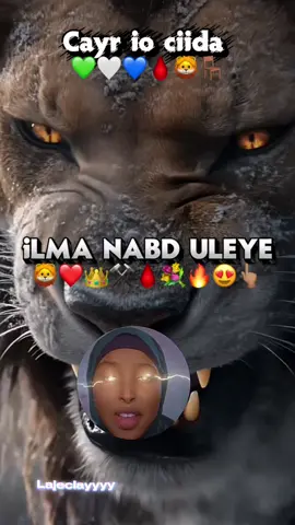 Cayr ilma nabd uleye😭🦁🩸#habargidirnimo🤍💚💙 #ayaanlecayr🤍💚💙 #fiqishini🦁💪 #lajecleyyyy❤️‍ #amusha_pea 