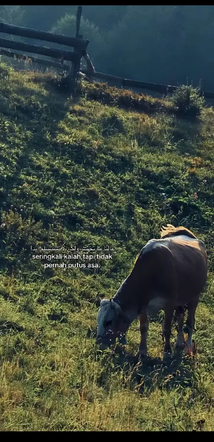 #fypage #elitproacademy #maduraunited 