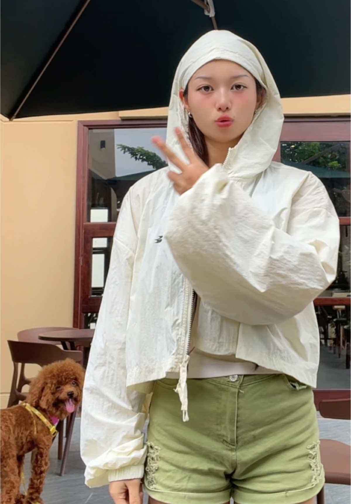 Mải đếm số quên cả bài