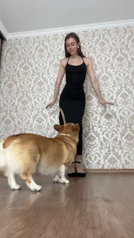 мой главный фанат 🐶