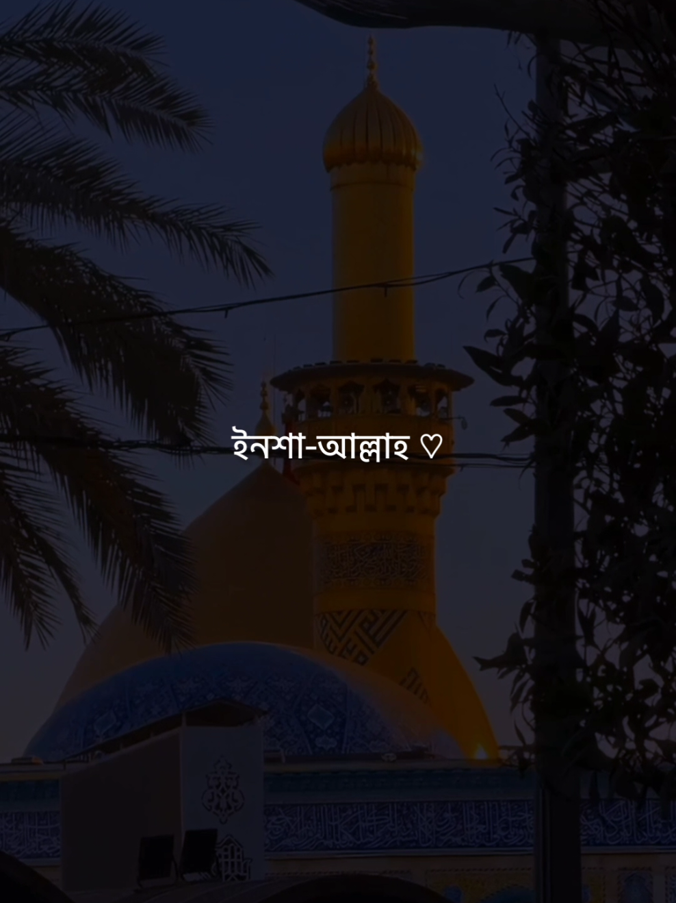 ইনশা-আল্লাহ ♡      #flypシ #foryou #foryoupage 