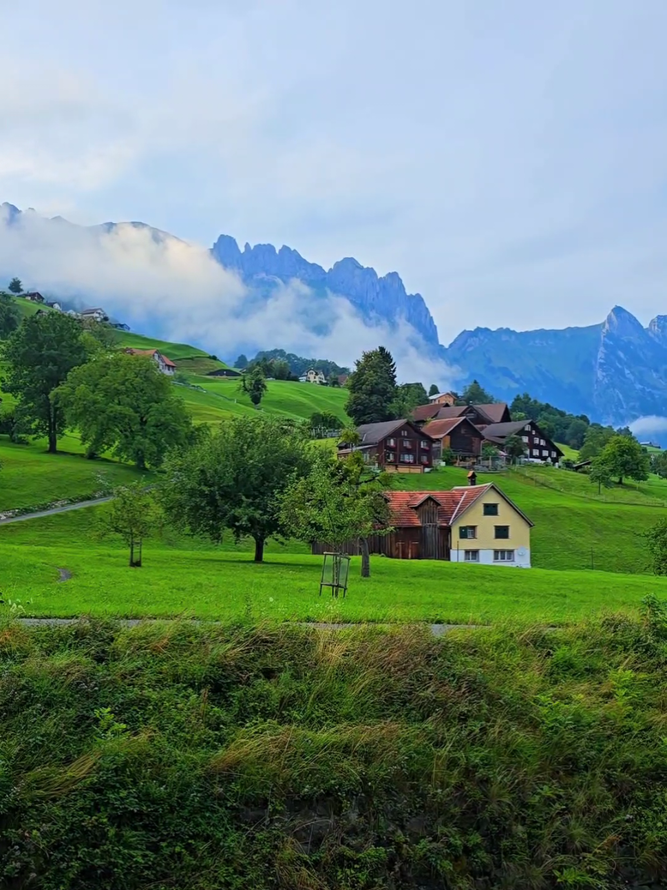 SWITZERLAND📍🇨🇭⛰️🏞🏡#nature #alp #stgallen #swissalps #switzerlandnature 
