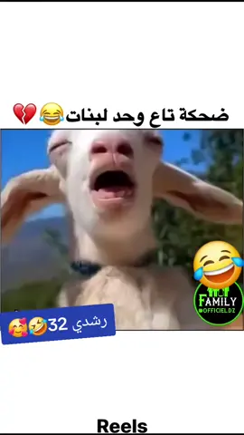 رشدي 32🥰🤣😂