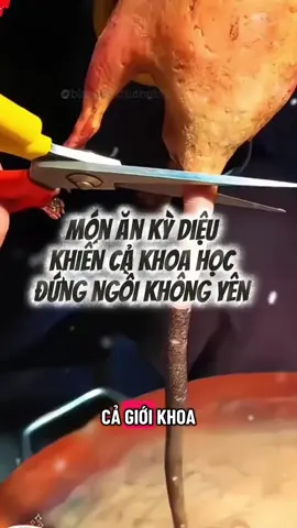 Bí ẩn khoa học