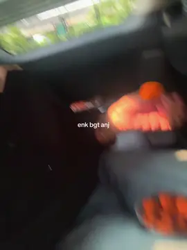 #cimolbojot 