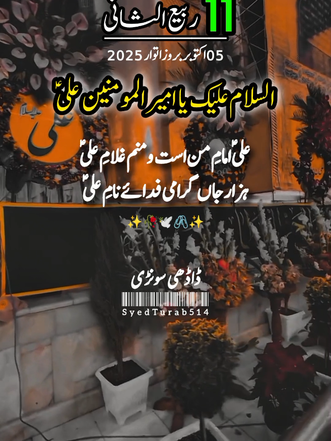 11rabi_ul_sani_status#qaseda_mula_ali_as_status #mula_ali_status #syedturab514 #foryoupage #viralvideo 