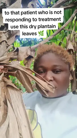 to that patient who is not responding to treatment use this dry plantain leaves 🌿#knowdetruth 