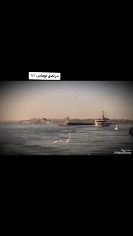 #الطرب_العراقي_الاصيل  #مرتضى_نوماس  #النجف #النجف  #الشعب_الصيني_ماله_حل😂😂 
