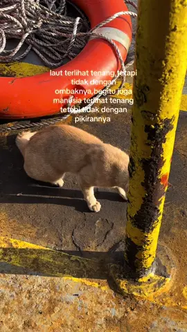 hadeh #fypviralシ #fyp #pelautindonesiatiktok #pelautpunyacerita 