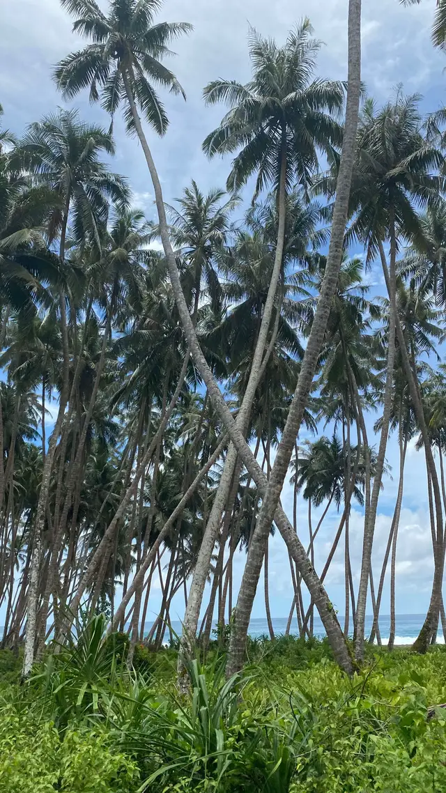 Simeulue aceh #promoseruweekend #simeulue #aceh #pulausimeulue 