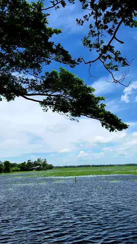 তুমি আমার বিষন্নতার দাম দেবে না...?                         #weather #foryou #virall #trending 