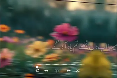 میرے بابا یہاں ہر پل مجھے تم یاد آو گے #fouryou #fouryourpage #100millionviews #100millionviews #unfreezemyacount 