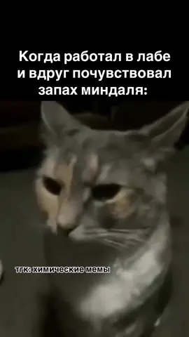 ⬆️ больше мемов про химию в тг | ссылка в описании профиля #химия #химиямемы #химическиемемы #химияегэ #химияогэ      