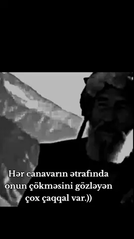 #keşfetdeyizzzz #viral #Talışehli 