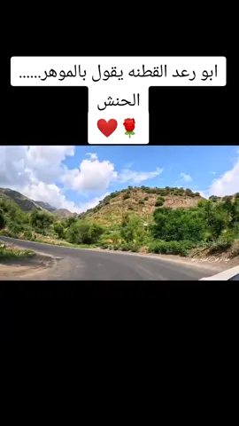 #قصائد_يمنيه #صنعاء_عدن #اليمن🇾🇪المملكة🇸🇦 #عبدالله_الصفي 