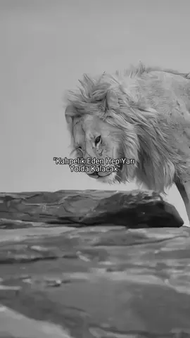 #rp #story 