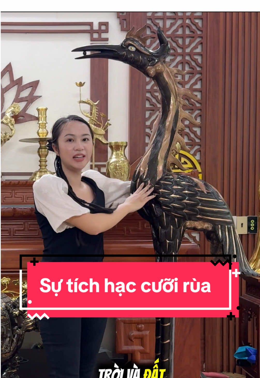 Sự tích hạc cưỡi rùa và ý nghĩa trong văn hoá thờ cúng của người Việt Nam #thienquangbao #xuhuong #hacdong #dodong 