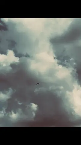 New BG নাও 🙌 . . #caption #Bg 