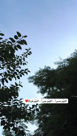 اللهم اني استودعتك نفسي وصحتي ف يارب اشفيني وعافيني وارح جسدي ولا تحملني ما لا طاقه لي به ، اللهم اشفني بشفائك و داوني بدوائك ، اللهم انت الشافي لا شفاء إلا شفائك اشفني شفاء لا يغادر سقماً❤️#اللهم_لك_الحمد_ولك_الشكر #تصويري #اكسبلورexplore 