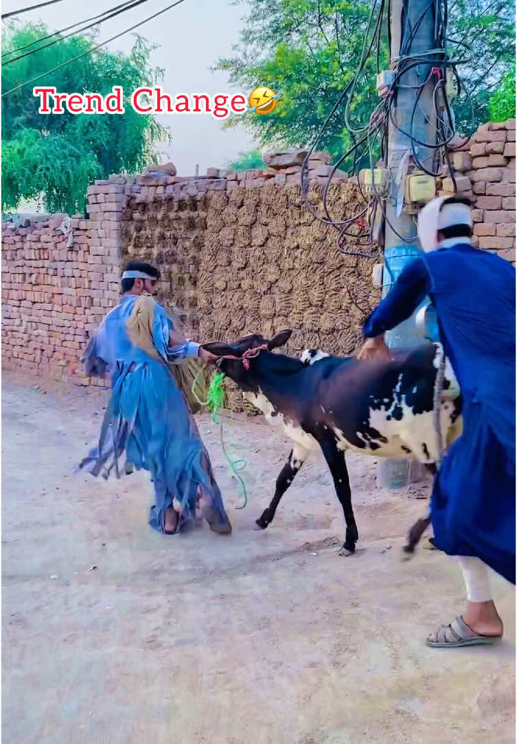 Trend Change🤣 please tiktok team don’t under review my video🙏 #mrnasir2 #unfreezemyacount #trends #viral #fyp #forupage #trendingvideo #tranding @Khaani 