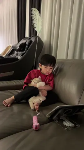 ครั่งรักแมวแสนล้านโวล์ #creatorsearchinsights #cat #catsoftiktok #foryoupage❤️❤️ #สตอรี่ความรู้สึก 